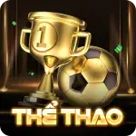 the-thao okking
